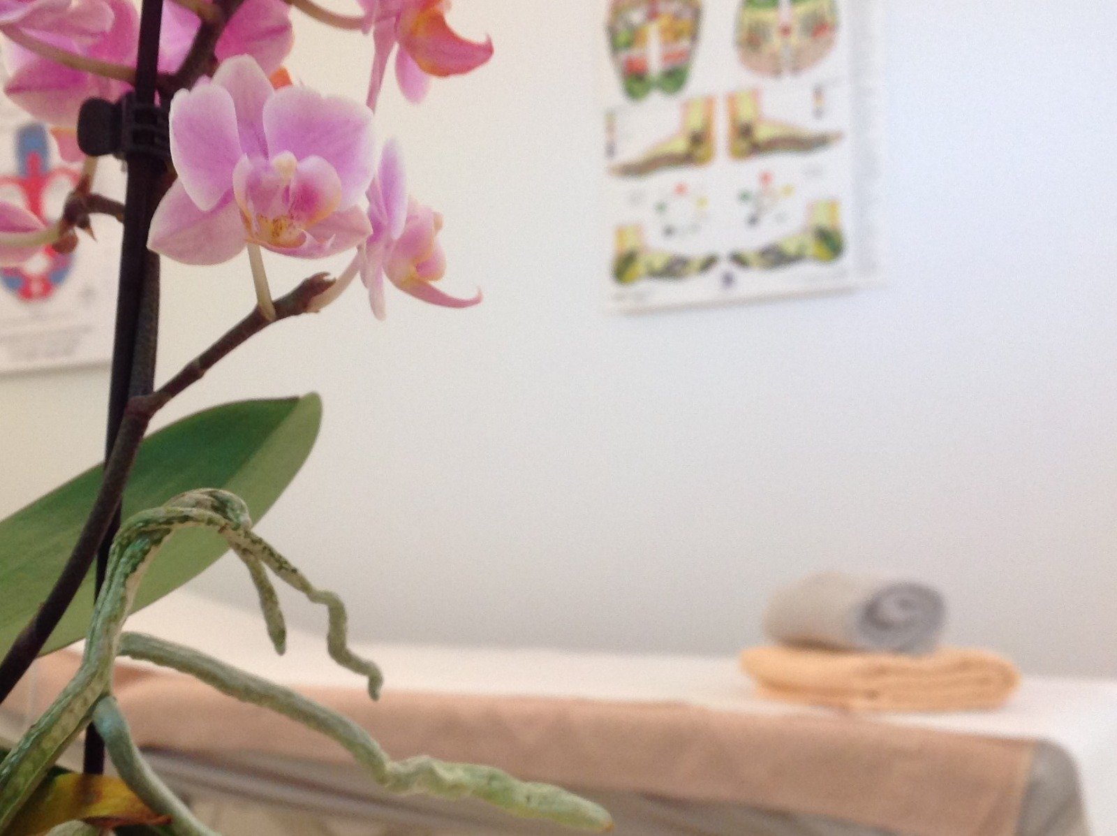 benessere personalizzato